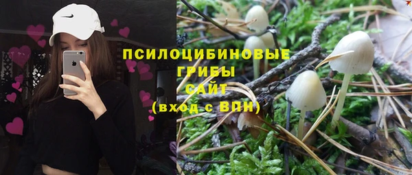 spice Беломорск